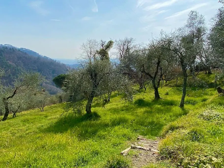 Villa Di Elia Montedivalli Chiesa